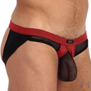 Gregg Homme X Rated Maximizer Super Jock 85034 Red