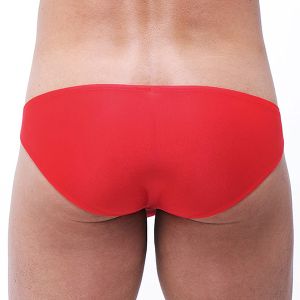 Gregg Homme Torridz Briefs 87403 Red