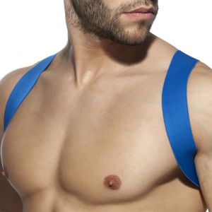 Addicted Spider Harness AD814 Royal Blue
