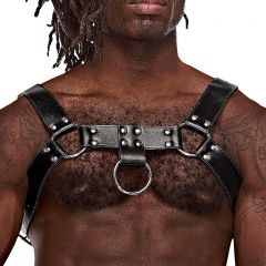 Male Power Leather Aries Harness 590-266 Black